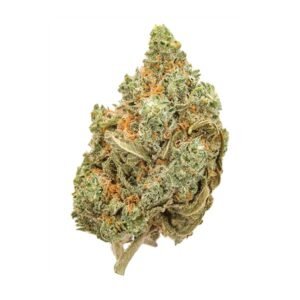 Shop Amnesia Haze at Bud Chronicle and explore the available selection