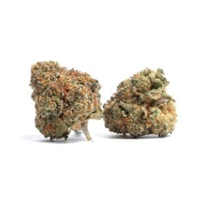Discover Animal Cookies at Bud Chronicle.