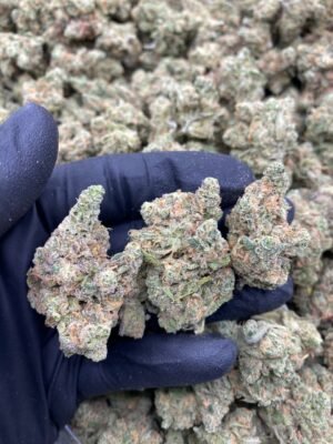BLUE DREAM-BLUE-DREAM.jpg
