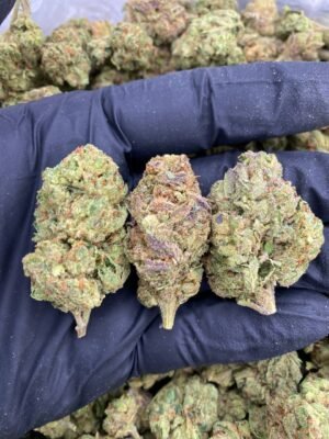 BUBBLE GELATO-BUBBLE-GELATO.jpg