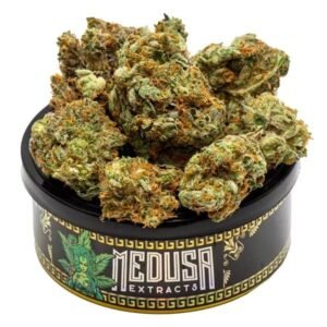 Blueberry Kush