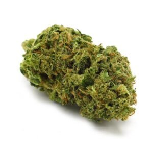 Bruce Banner | Shop Online