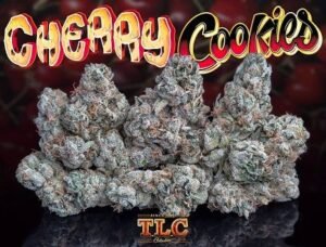 Cherry Cookies | Sweet Cannabis Hybrid