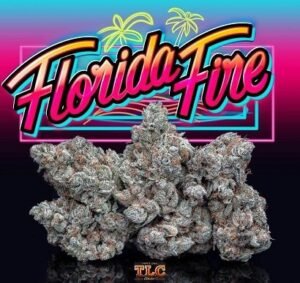 Florida Fire | Hybrid Cannabis Strain