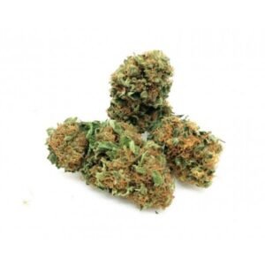 Find Gelato 41 at Bud Chronicle and explore its available selection