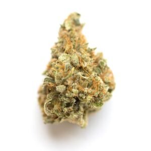 Gelato 45