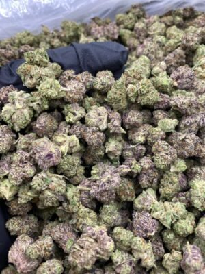 JELLY PIE EXOTIC SMALLS-JELLY-PIE-EXOTIC-SMALLS.jpg