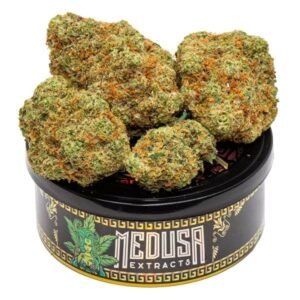 Jack Herer | Classic Sativa Cannabis | Bud Chronicle