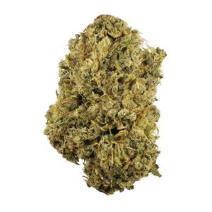 Jungle Cake | High-THC Hybrid Cannabis Strain