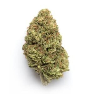 Kush Sorbet | Fruity Kush Hybrid