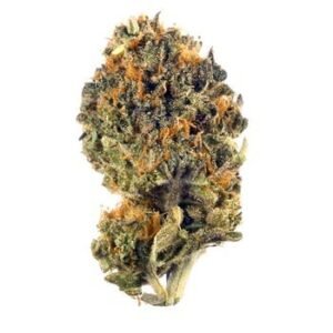 LA Kush Cake | Cannabis for Sale Online