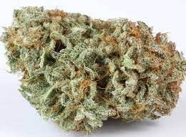 Master Kush