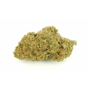 Shop Mimosa at Bud Chronicle