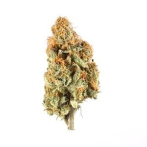 Motor Breath | Cannabis Hybrid for Sale