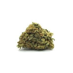 Northern Light | Cannabis Weed for Sale