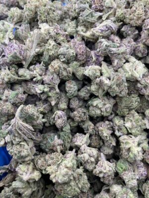 PURPLE POM CANDY SMALLS-PURPLE-POM-CANDY-SMALLS.jpg