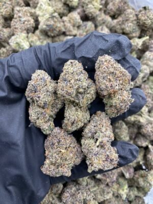 PURPLE PUSH POP-PURPLE-PUSH-POP.jpg