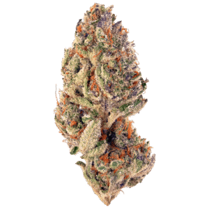 Purple Punchsicle