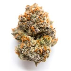 Purple Sunset | Buy Online | Bud Chronicle