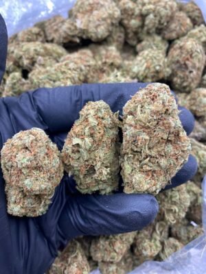 STRAWBERRY COUGH-STRAWBERRY-COUGH.jpg
