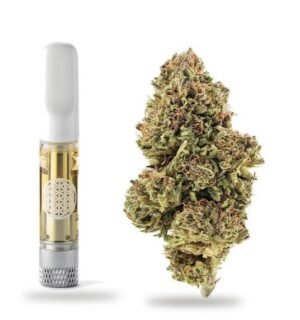 Sour Diesel | Classic Sativa-Dominant Strain | Bud Chronicle