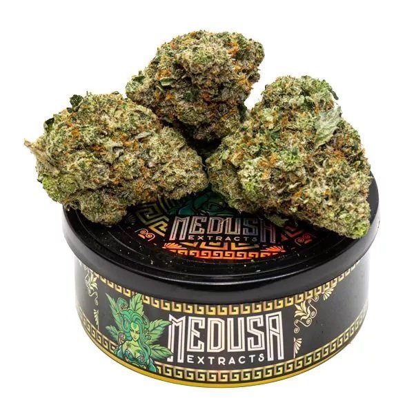 MK Ultra | Potent Indica Cannabis Strain | Bud Chronicle