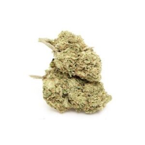 White Russian | Buy Online
