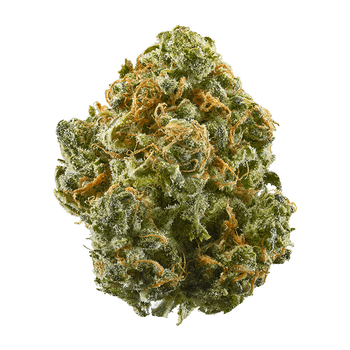 Blue Dream | Sativa-Dominant Hybrid