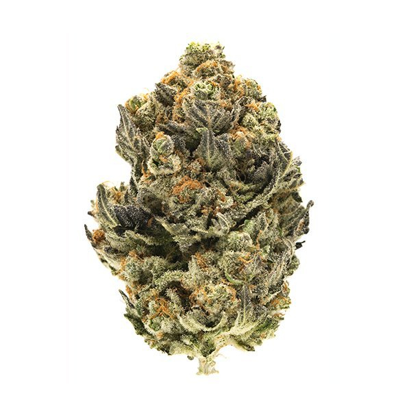 Blue Widow
