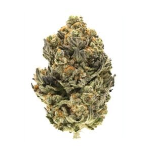 Sundae Driver | Sweet Hybrid Cannabis for Sale