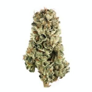 Cherry Pie | Buy Cherry Pie Weed Online