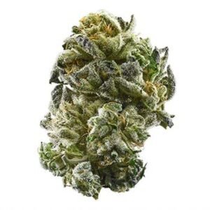 Girl Scout Cookies | Shop Online