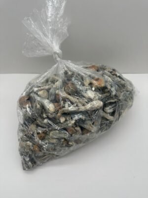 Liberty Caps Mush-liberty-caps-mush-B_dfHwrg.jpg