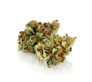 Mimosa #14 | Buy Online | Bud Chronicle