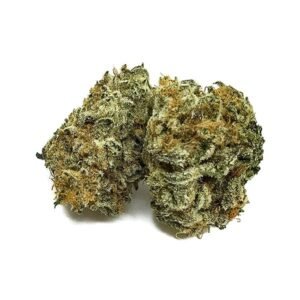 Purple Afghan Kush | Buy Online