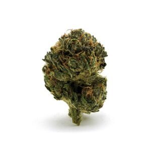 Shop Snowman online at Bud Chronicle.