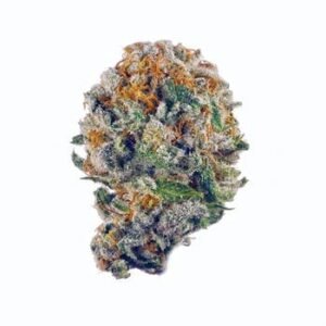 Strawberry Shortcake