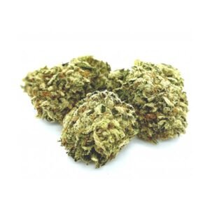 Thin Mint is one of the phenotypes of Girl Scout Cookies (GSC)