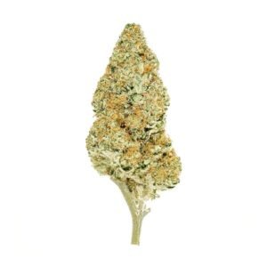 White Cookies is available at Bud Chronicle. Browse the selection, check product details, and choose your preferred option online.