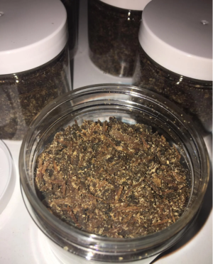 changa DMT